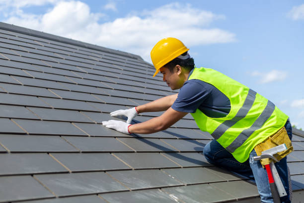 Best Commercial Roofing Services  in Holloman Af, NM