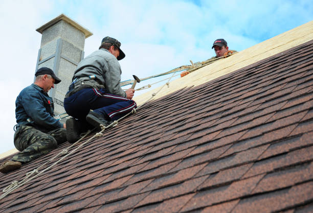 Best Storm Damage Roof Repair  in Holloman Af, NM